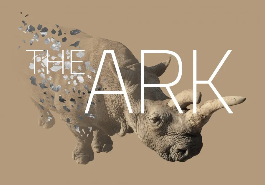 'The Ark' documents critically endangered white rhinos in VR, spotlighting efforts to save them