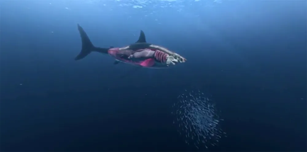 Take A Look At Curiscope’s Award-Winning Great White Shark Video
