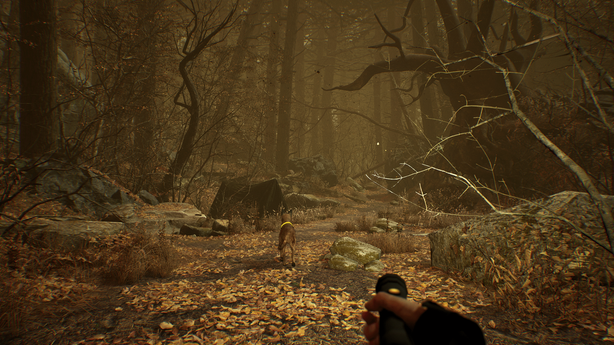 The forest best sale vr oculus rift